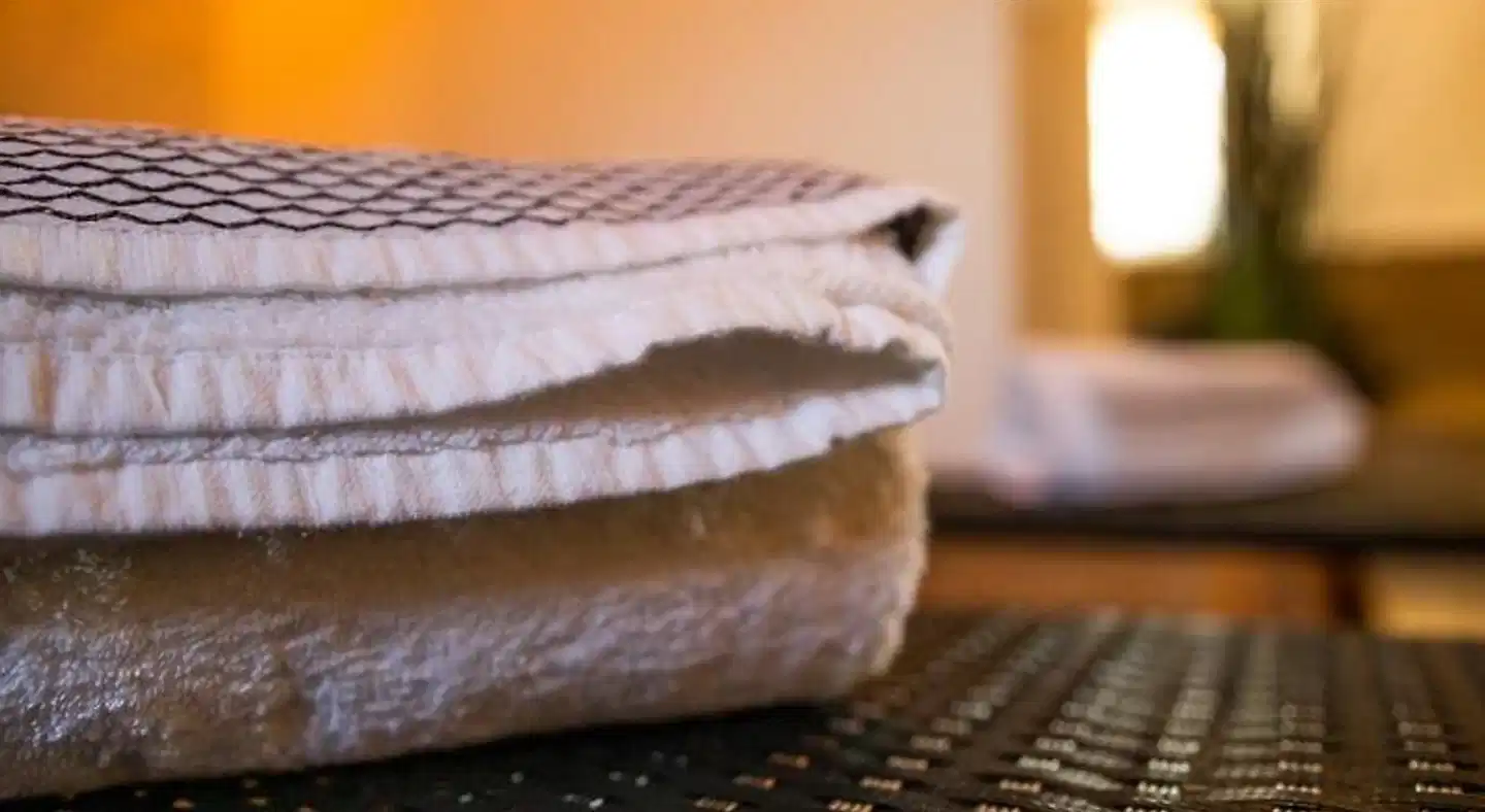 Burg Gutenfels Tiere