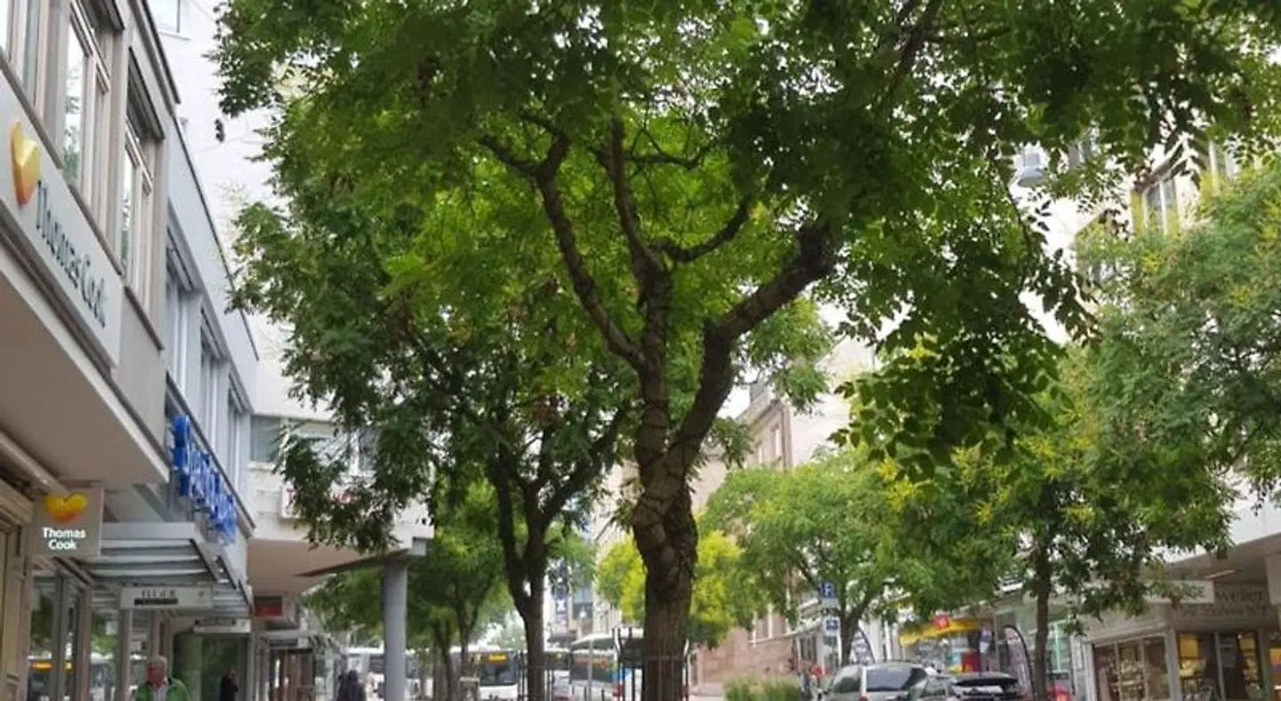 City Hotel LANDSCAPE
