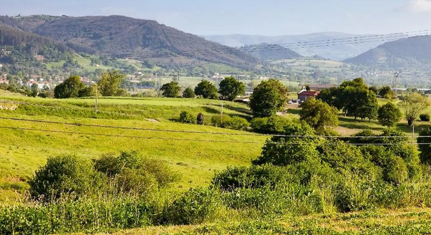 La senda de los elefantes LANDSCAPE