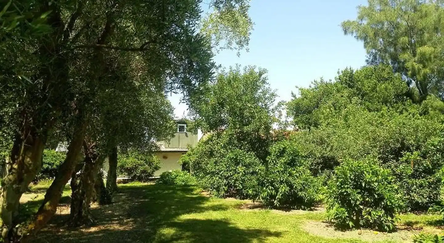 Irongate Retreat Garten