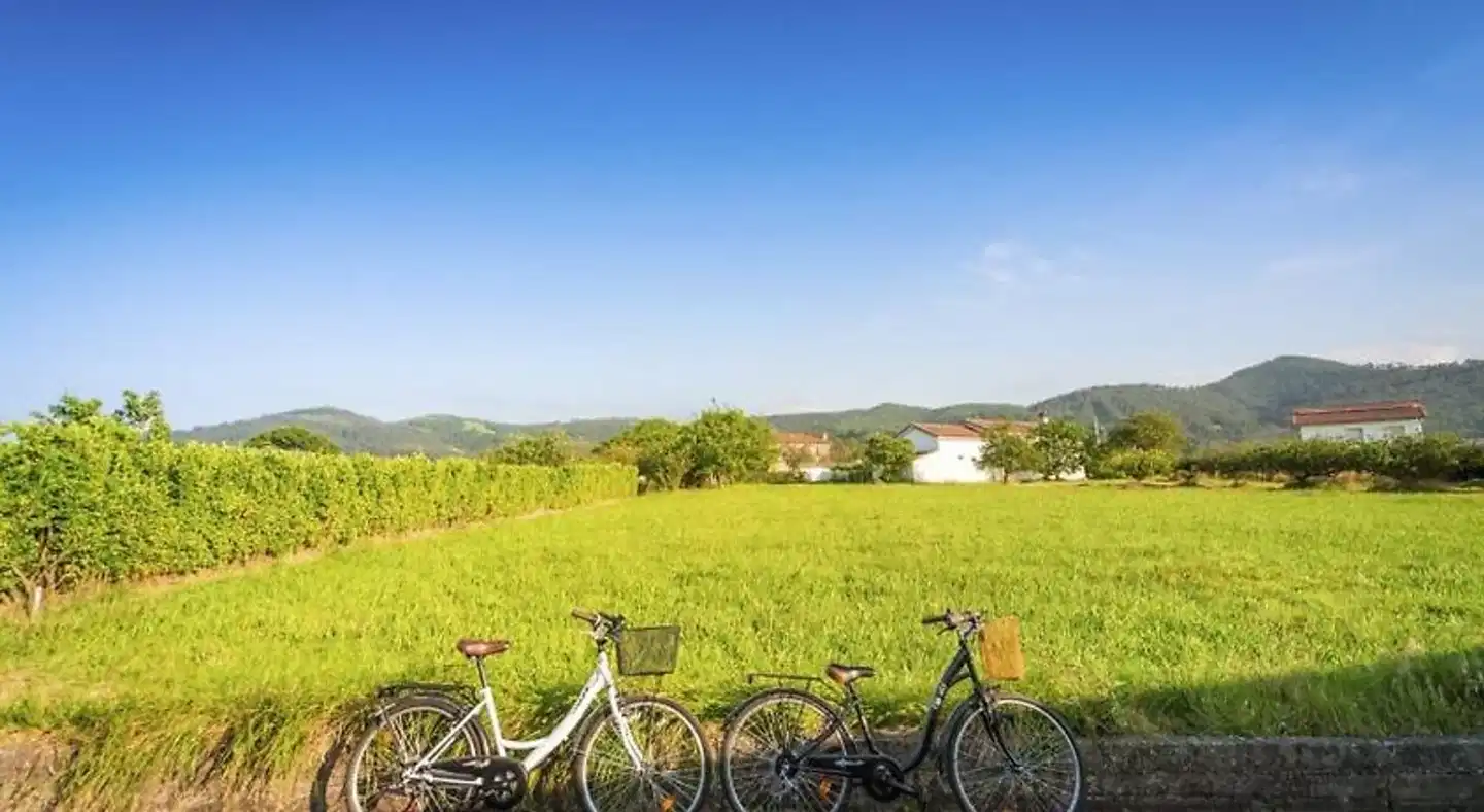 Apartamentos Pumarín Terrasse