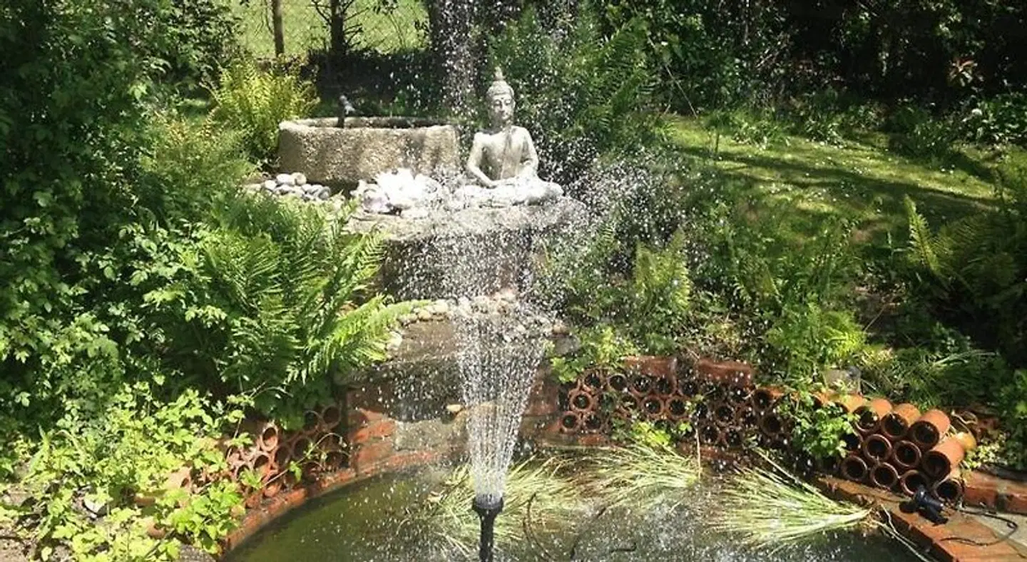 St Anne's B&B Garten