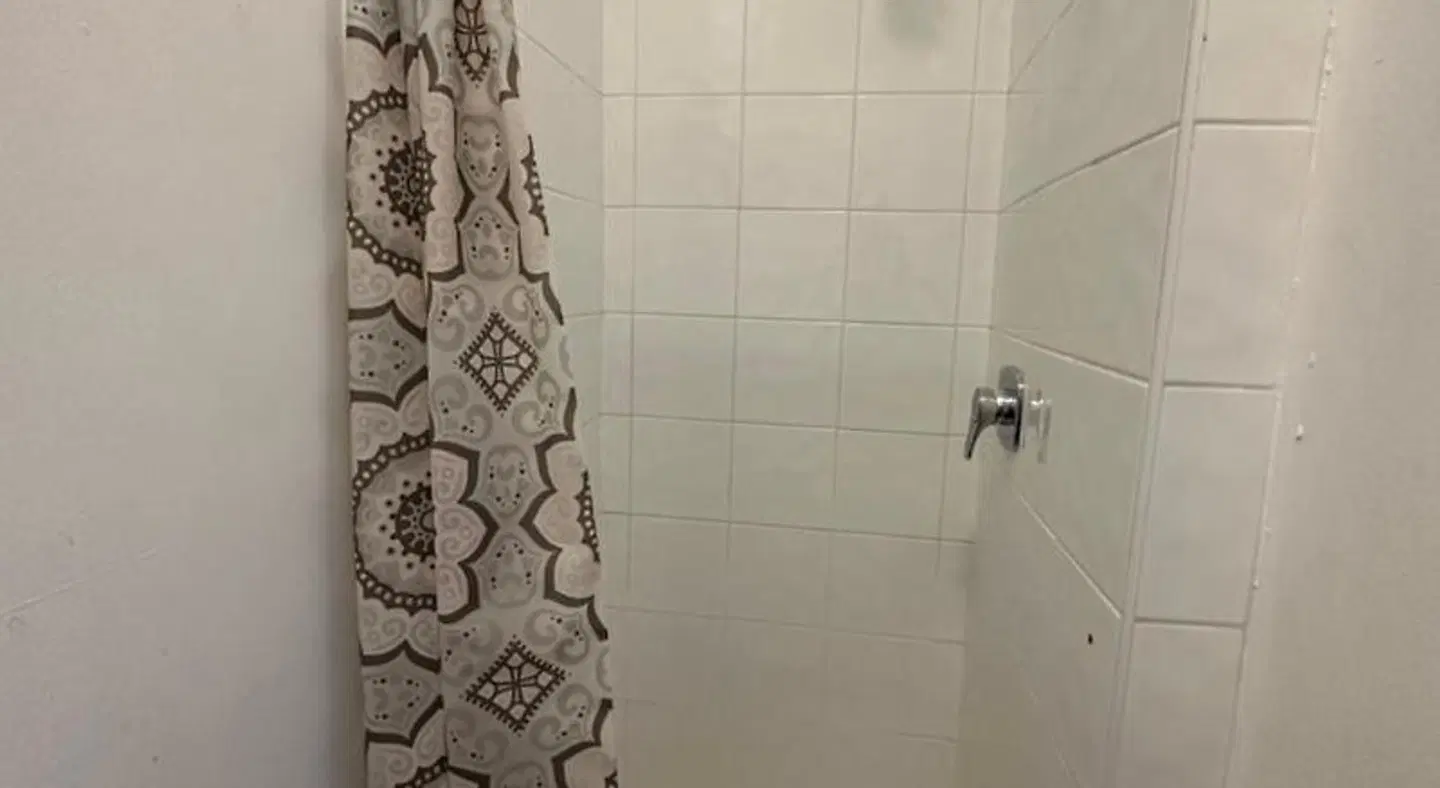 The Grapevine Hostel Badezimmer