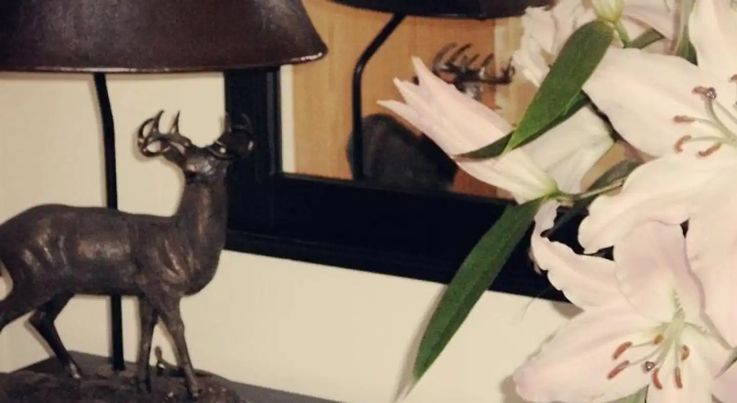 The Burlington Hotel Tiere