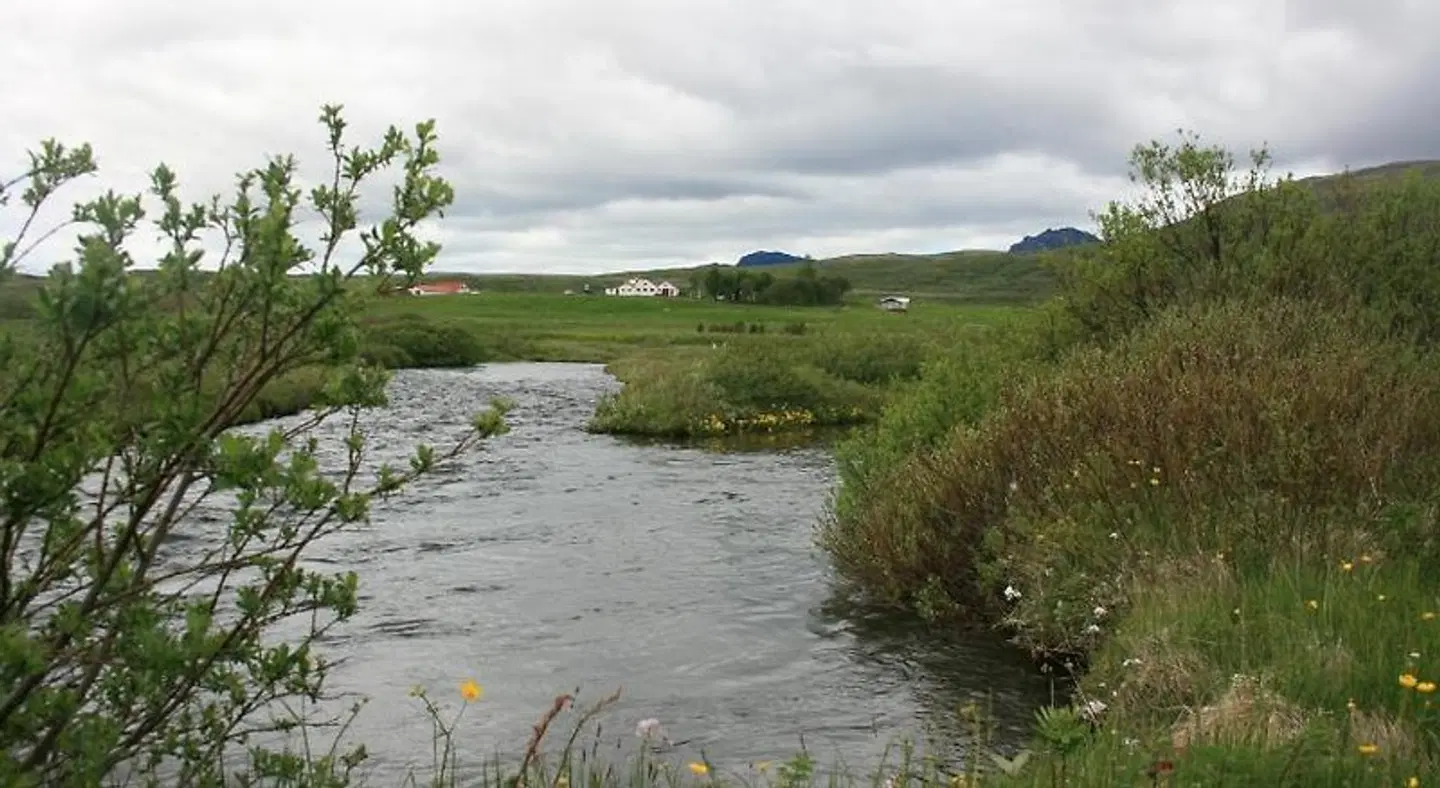 Eyvindartunga Farm Cottage LANDSCAPE