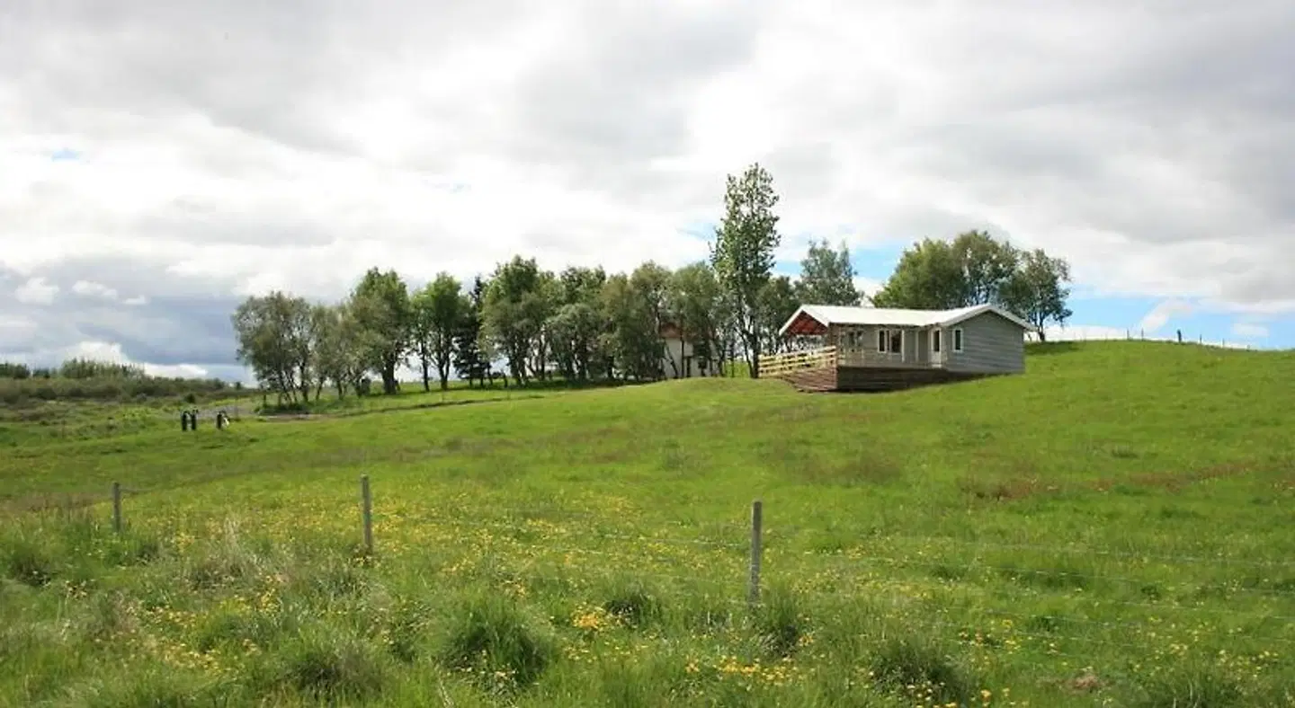 Eyvindartunga Farm Cottage LANDSCAPE