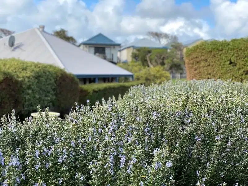 Surfpoint Resort – Hotelfoto