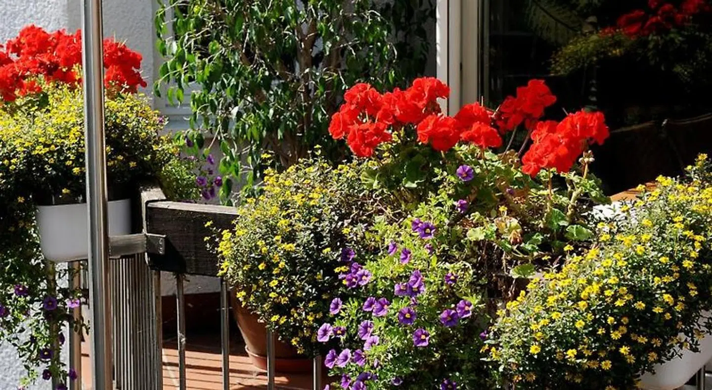 Ortel Garten