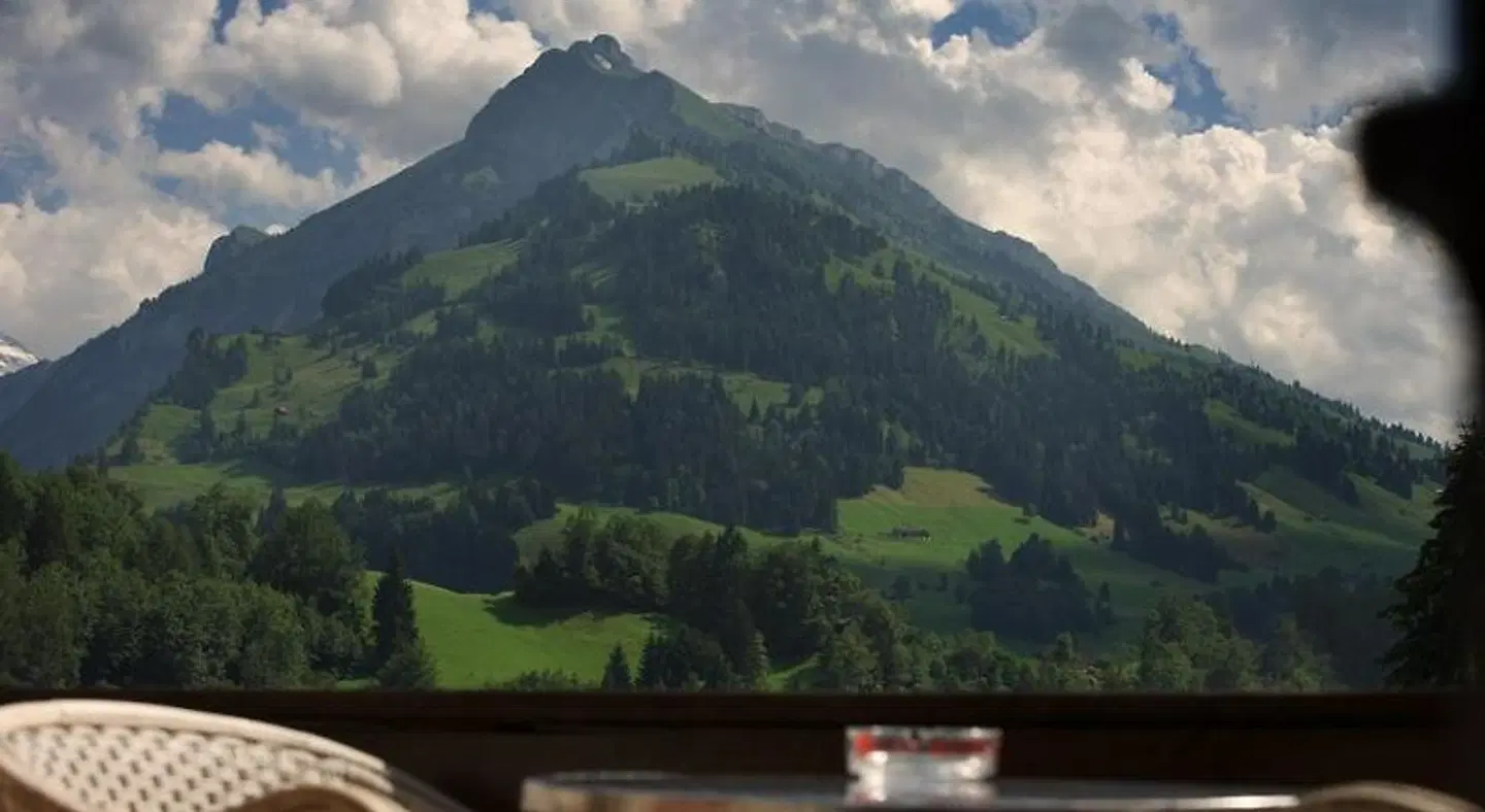 Hotel Landhaus Adler LANDSCAPE