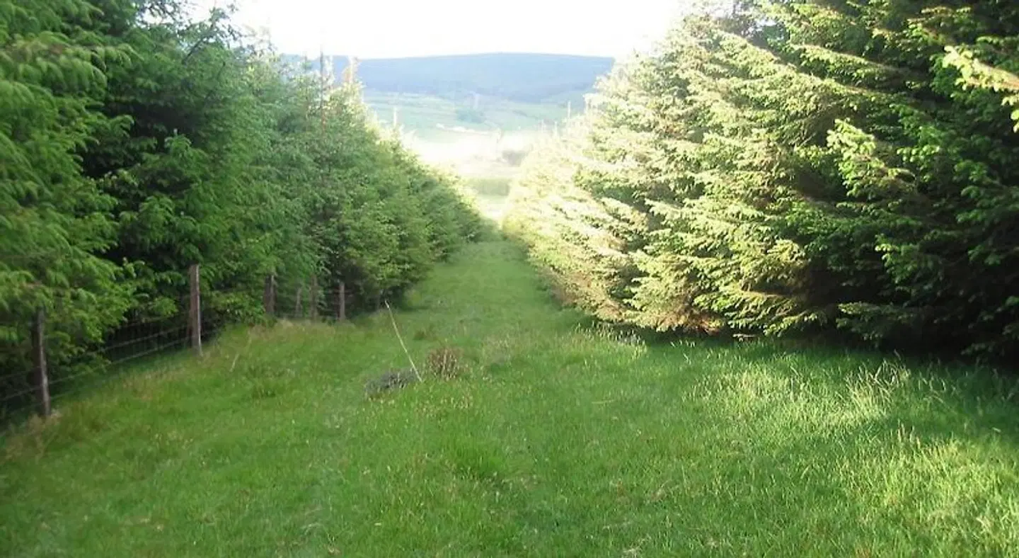 The Dales LANDSCAPE