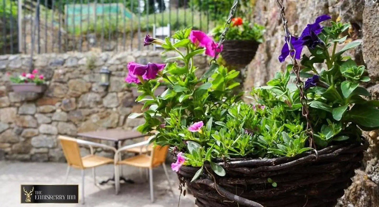 The Enniskerry Inn Garten