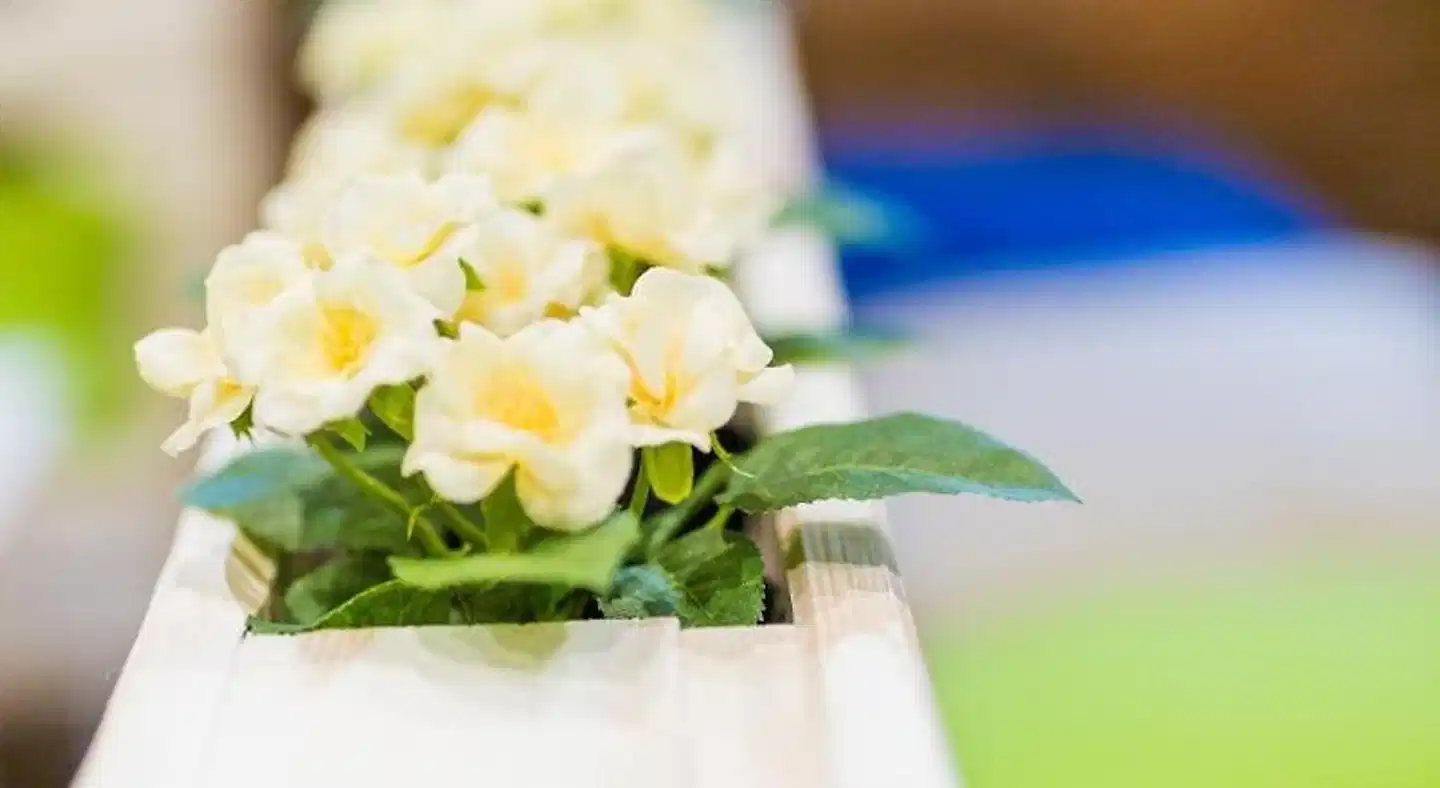 BeFree Hostel Wohnbeispiel