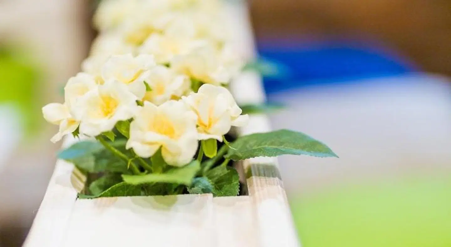 BeFree Hostel ROOM_EXAMPLE