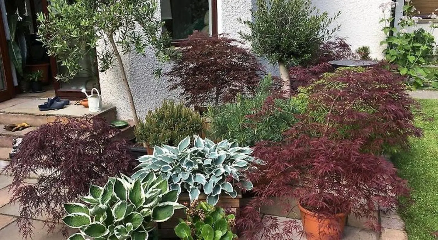 Home Farm Bed and Breakfast Garten