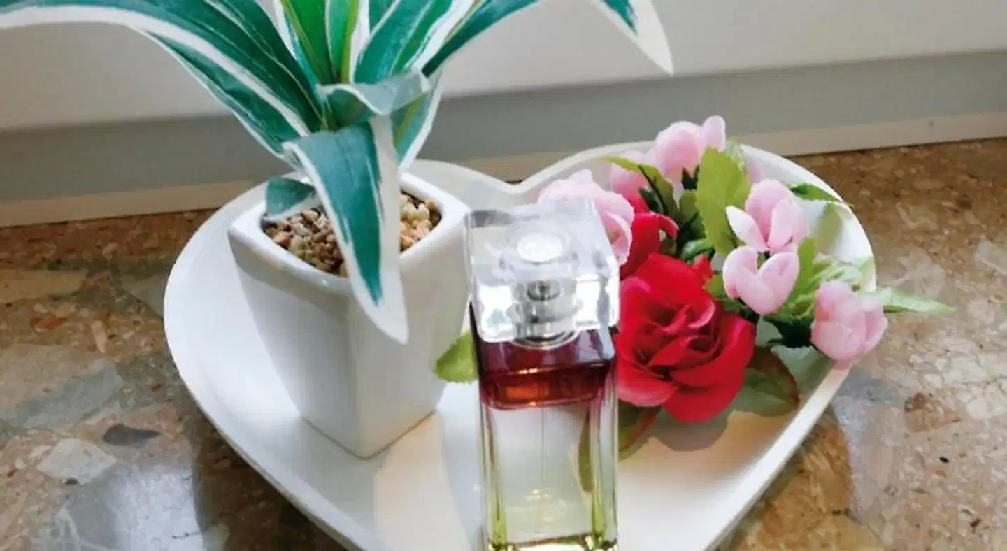 Strandpension Seejuwel Restaurant