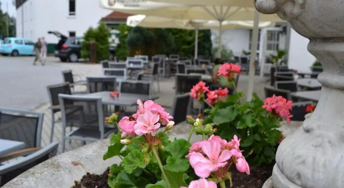 Am Pfahl Garten