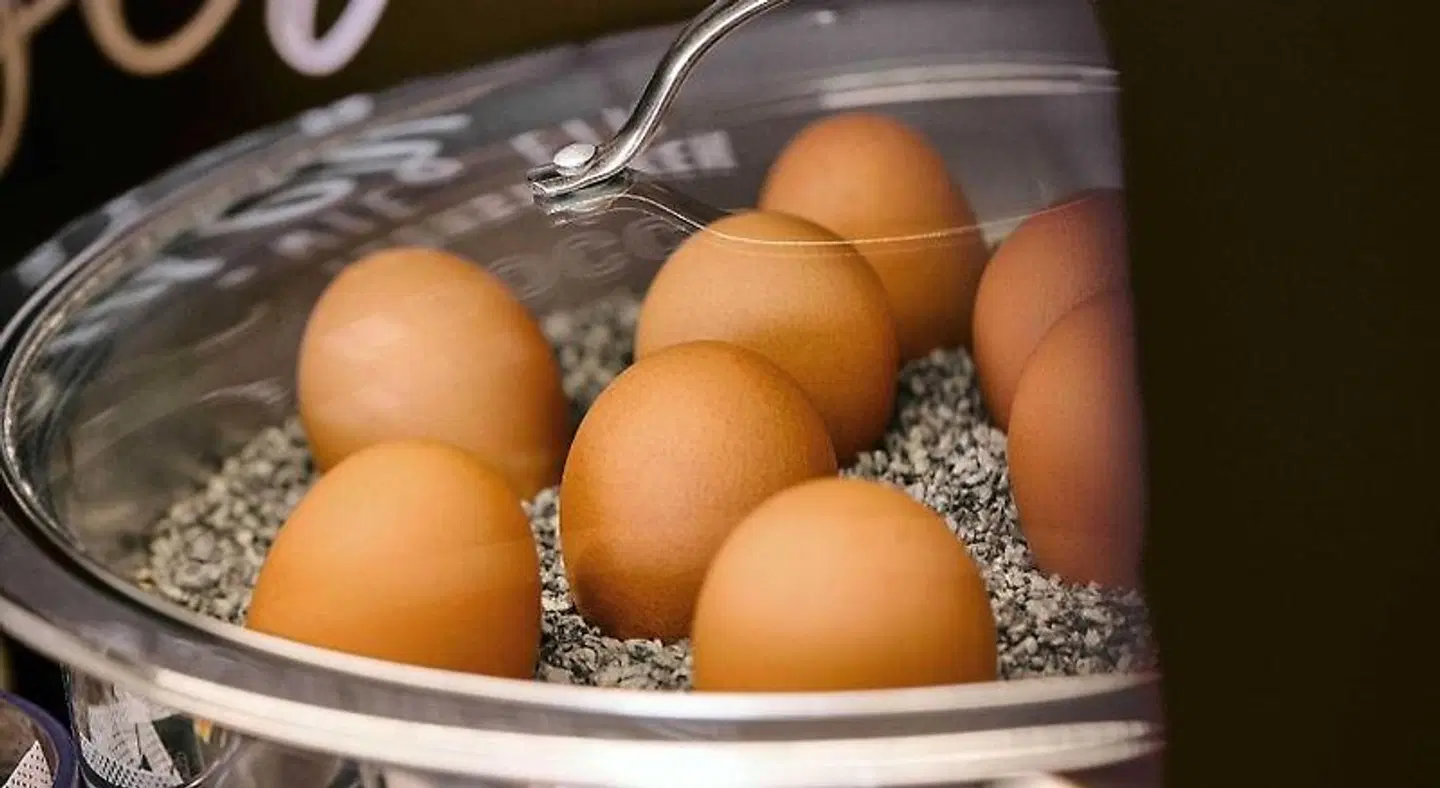 IBB Hotel Passau Süd Konferenz