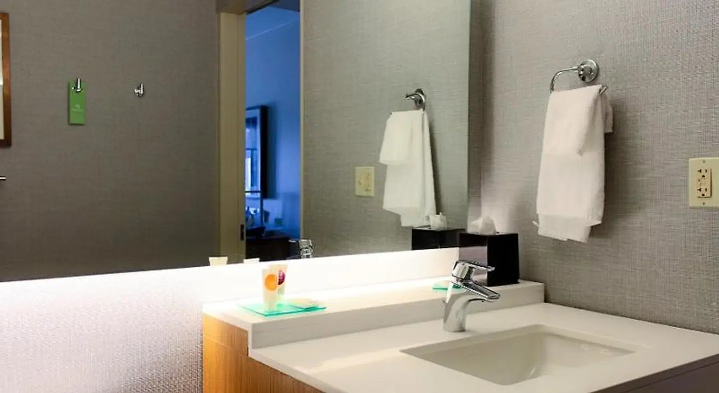 Hyatt Place Chicago-South/University Medical Center Badezimmer
