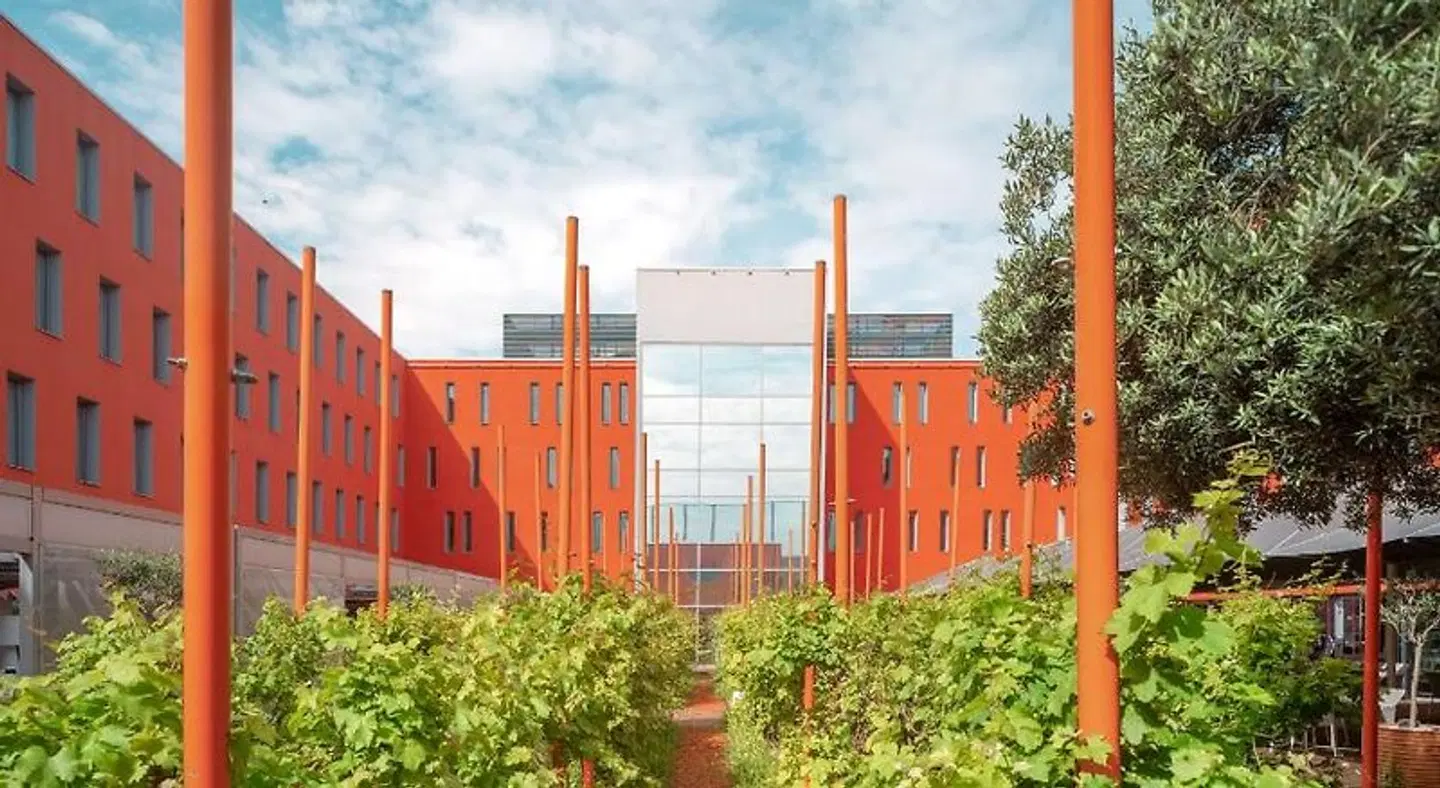 Radisson Blu Hotel, Toulouse Airport Garten