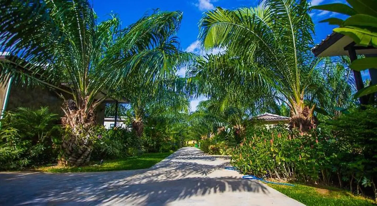 Palm Pran Resort Garten