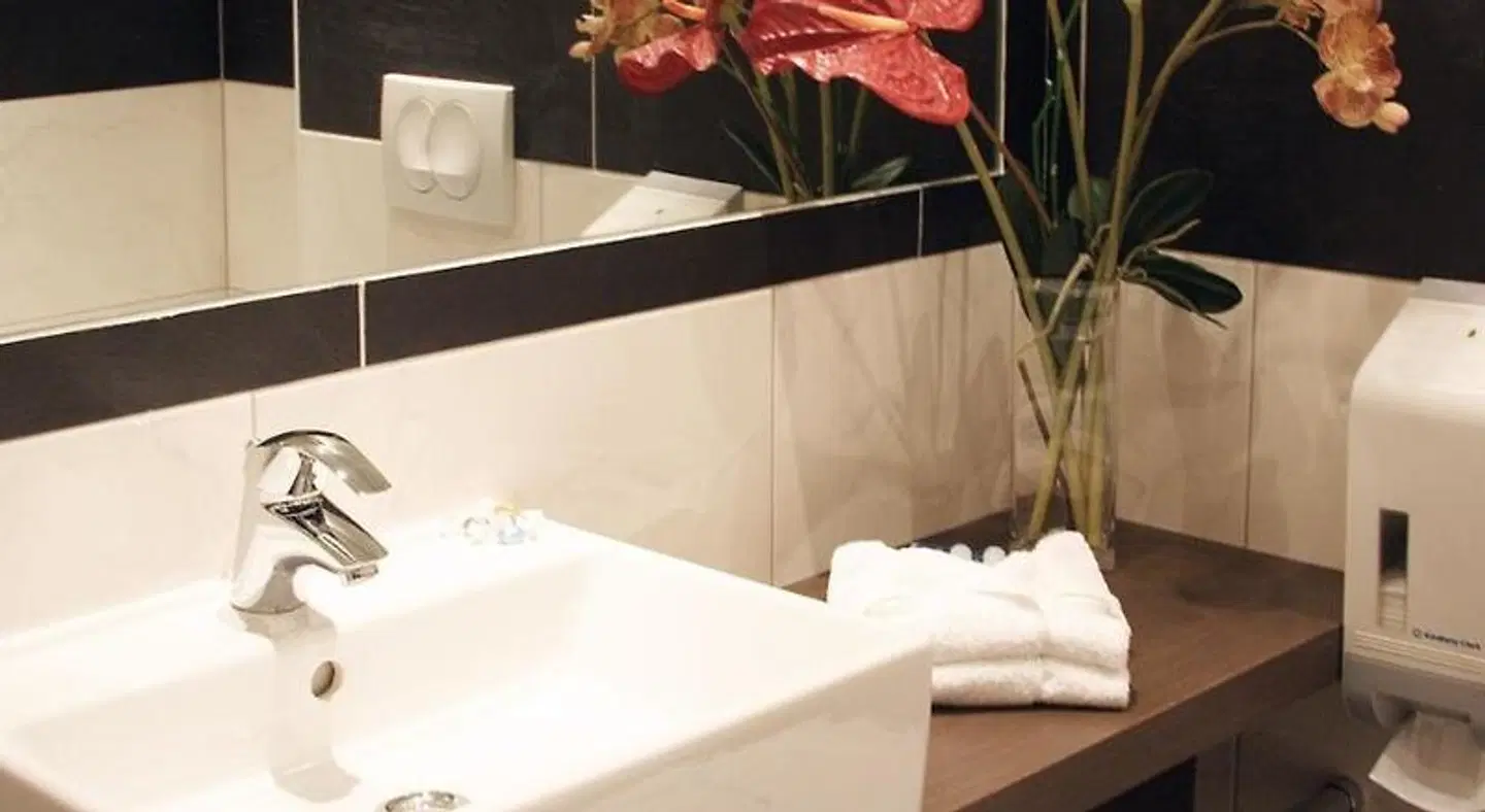 Kyriad Grenoble Center Badezimmer