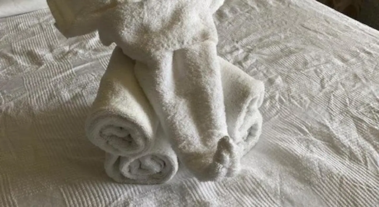 Red Deer Resort & Casino Tiere