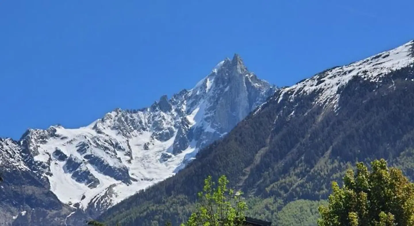 Les Balcons du Savoy LANDSCAPE