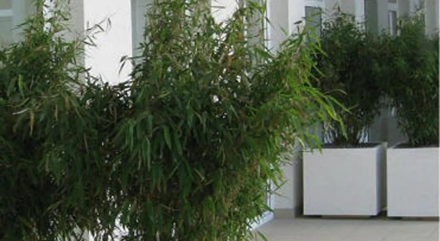 City Hotel & Dom Hotel Garten