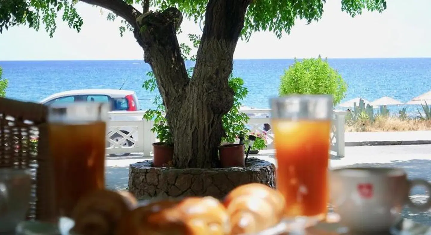 Stegna Dream Restaurant