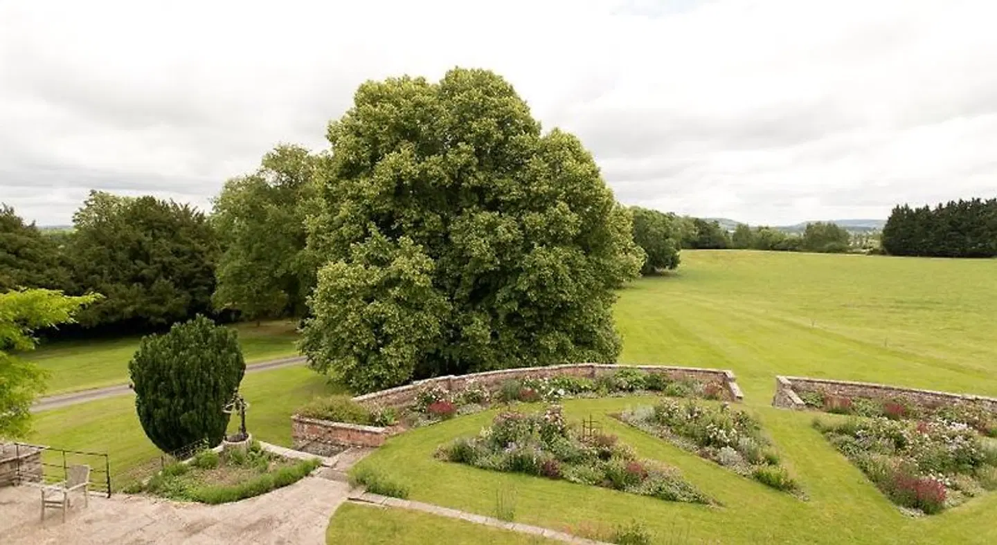 Burton Court Garten
