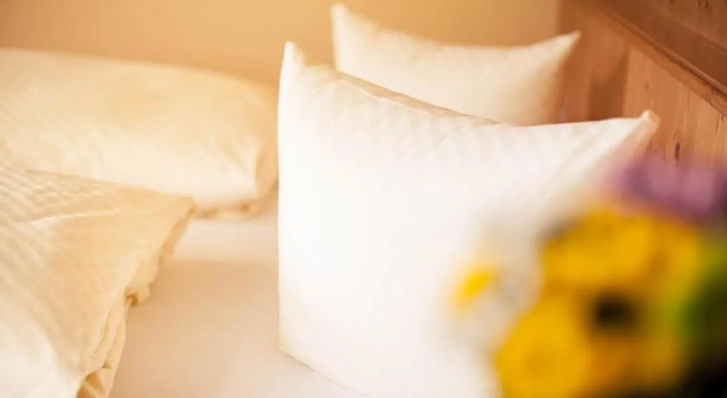 Steuxner HEALTH_BEAUTY