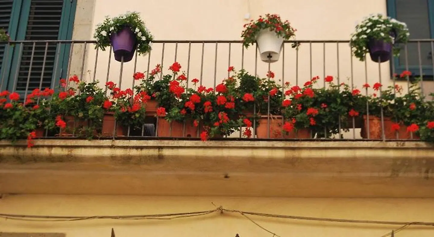 B&B Tre Metri Sopra il Cielo EXTERIOR
