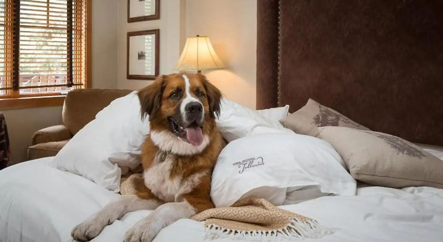 The Hotel Telluride ROOM_EXAMPLE
