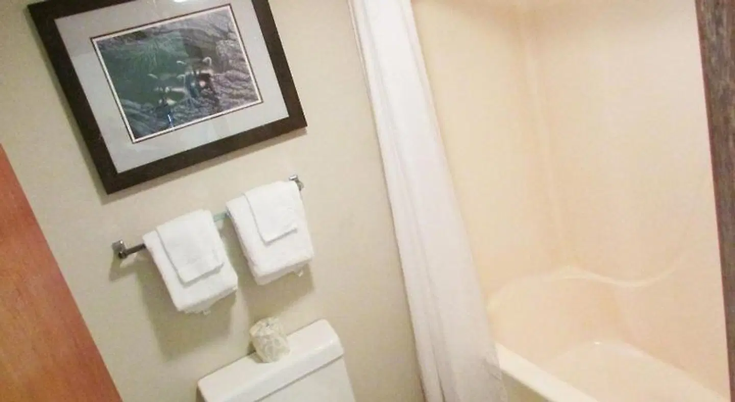 Arbors at Island Landing Hotel & Suites Badezimmer