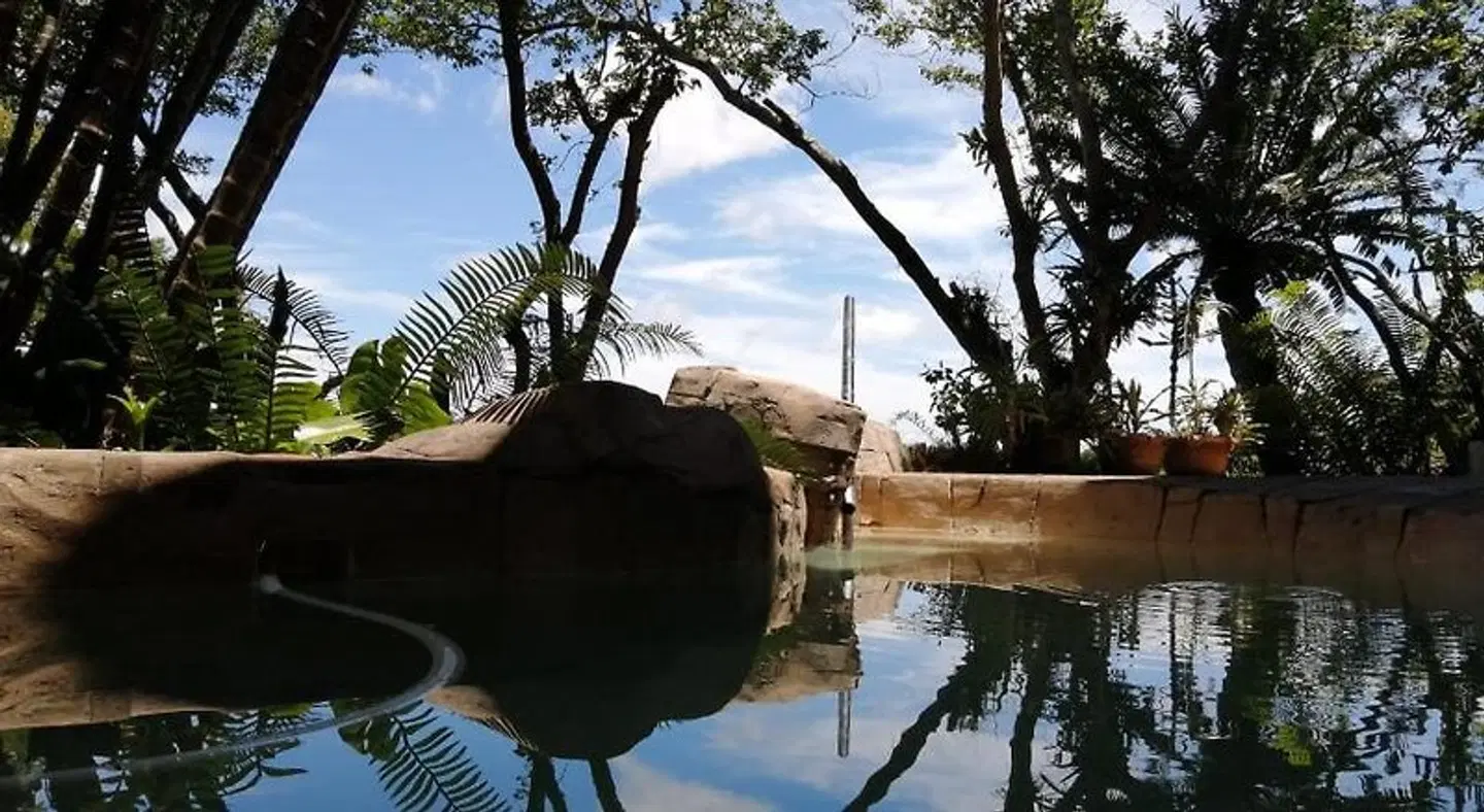 AmmaZulu African Palace Tiere