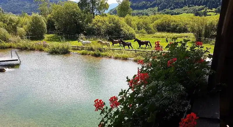Moarhof – Hotelfoto
