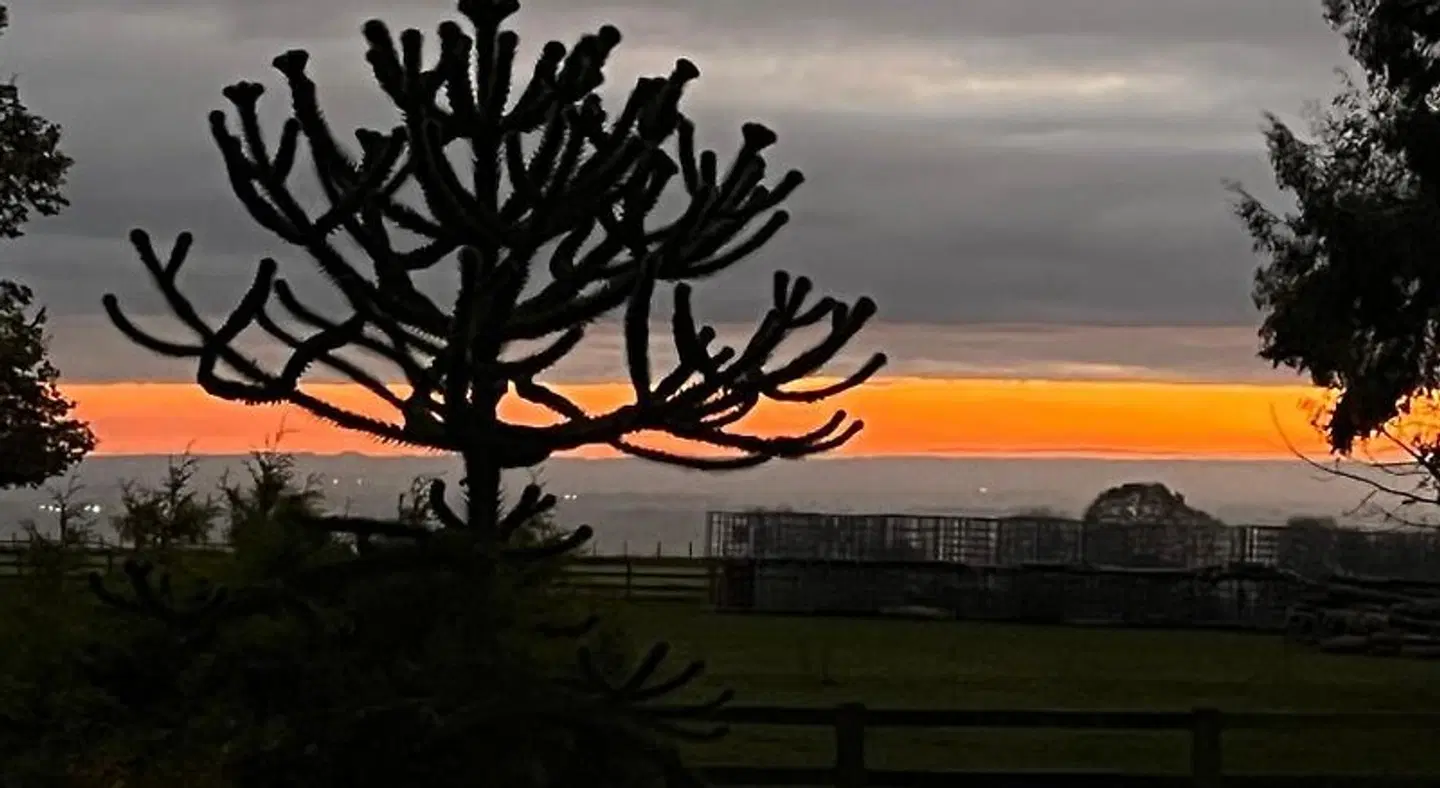 Cottage Lea's Country Hotel & Restaurant LANDSCAPE