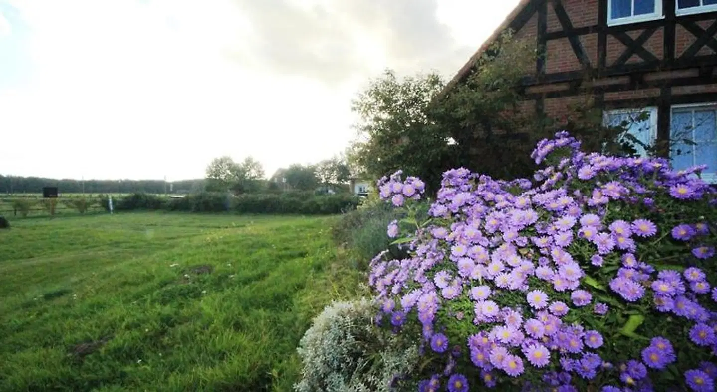 Seehotel Zielow Garten