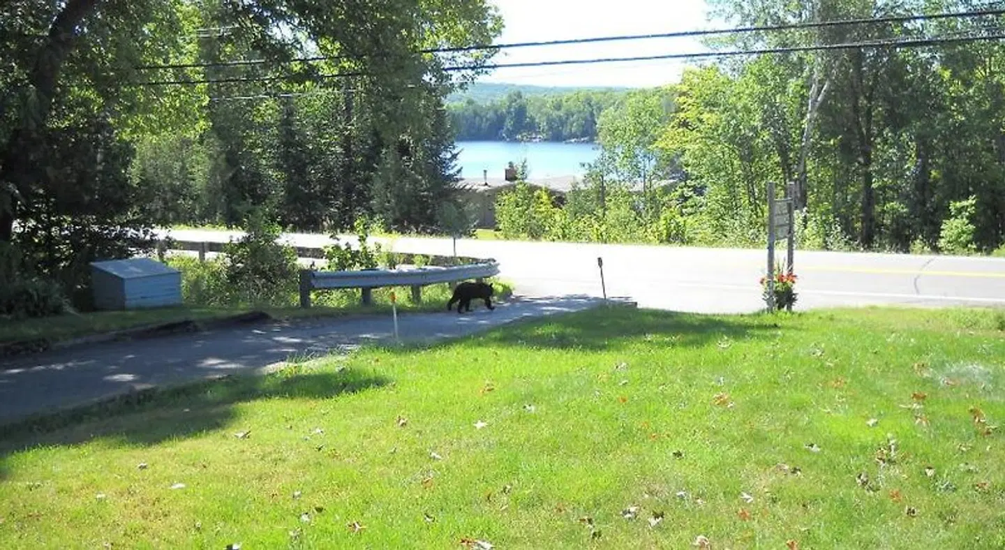 Lakeview Motel Garten