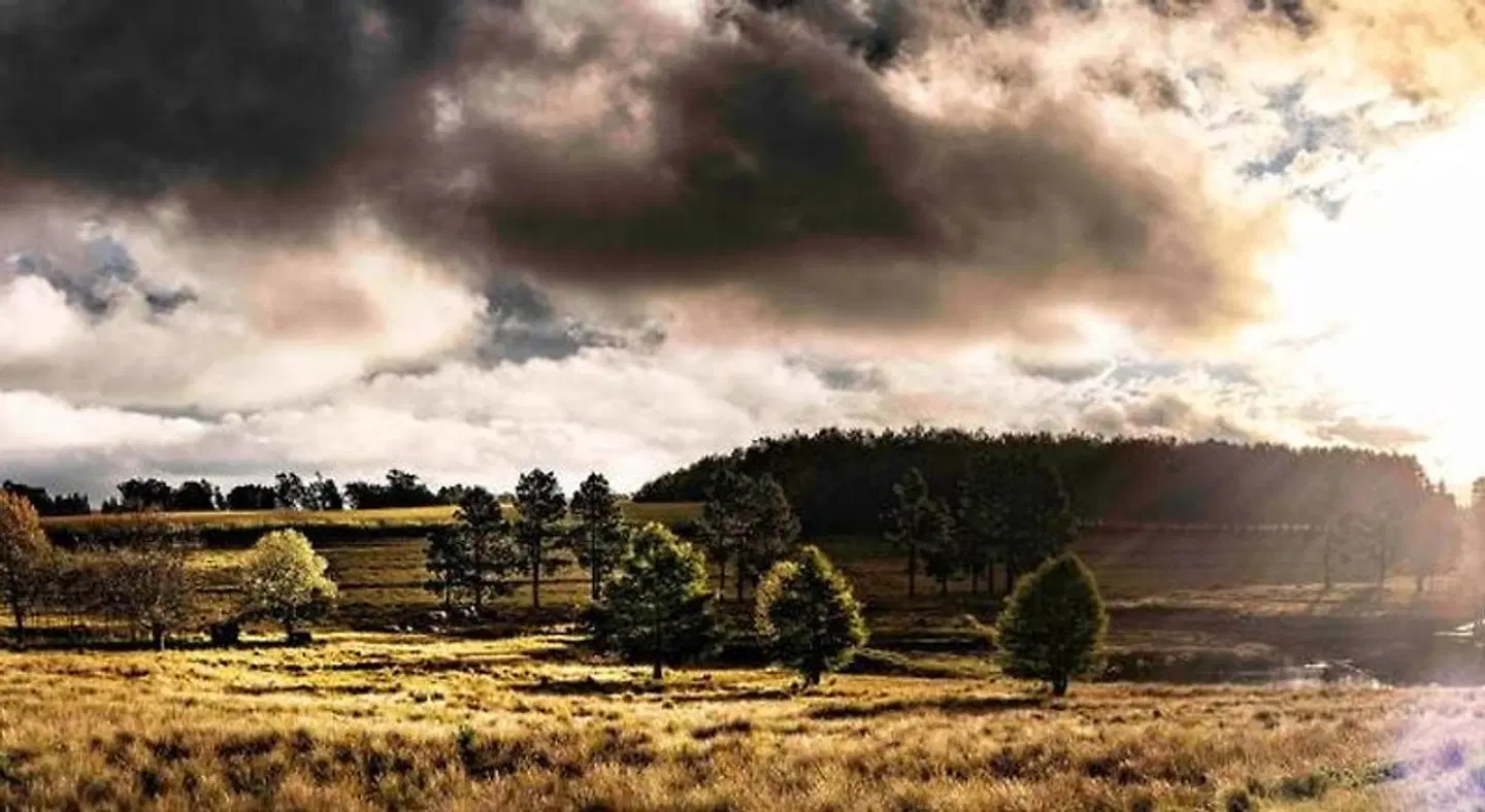 FarSide Farm LANDSCAPE