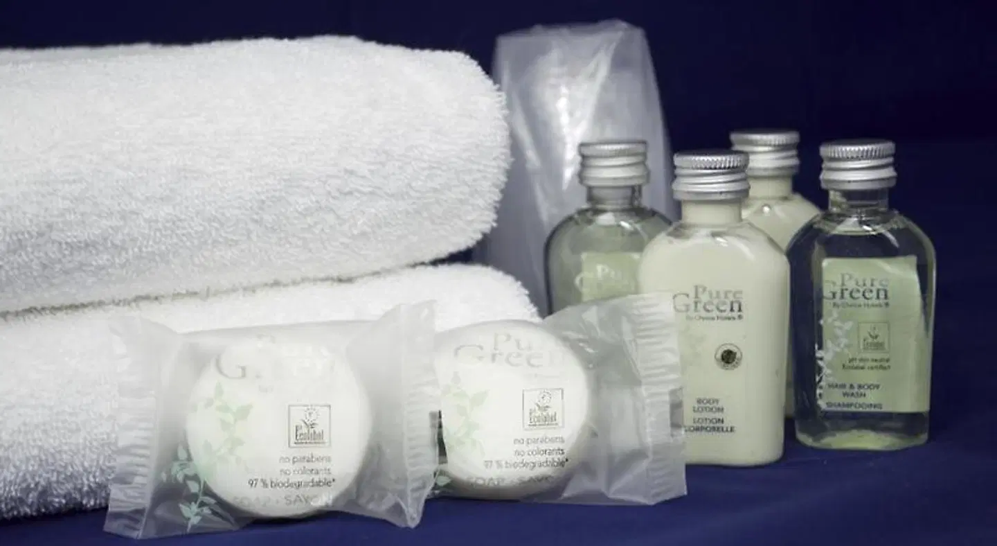 Aparthotel Adagio Lyon Patio Confluence Tiere