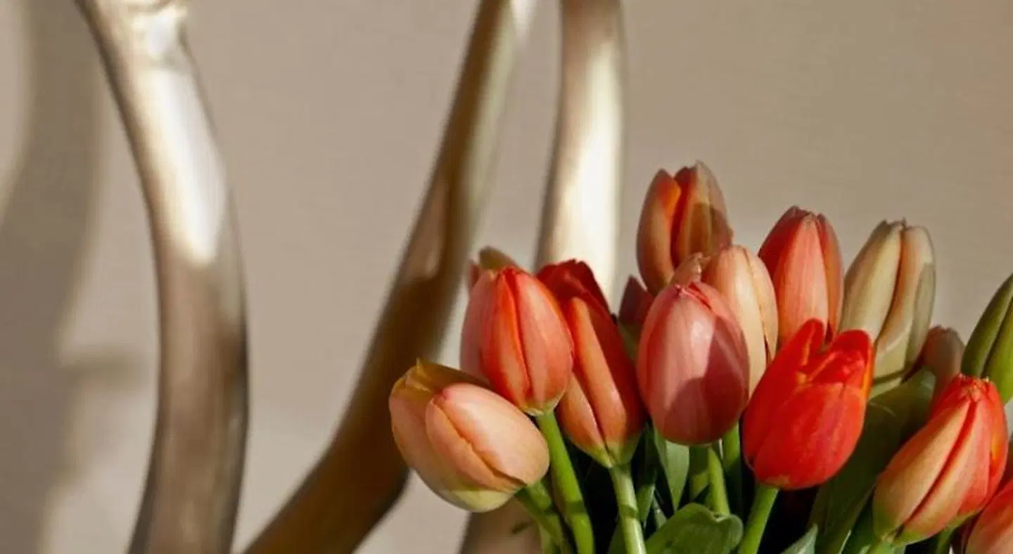 Palomar Phoenix Cityscape, a Kimpton Hotel HEALTH_BEAUTY