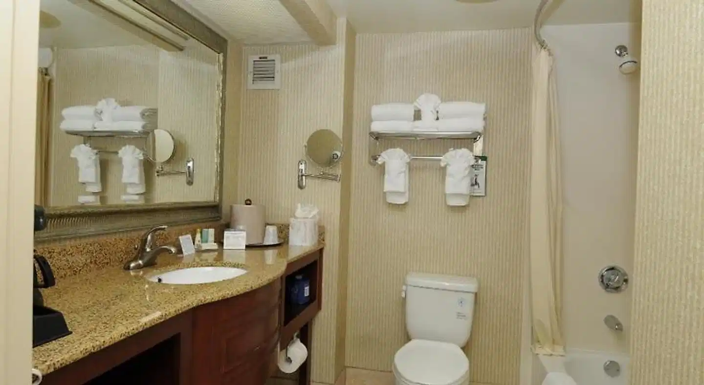 Comfort Inn Anaheim Resort Badezimmer