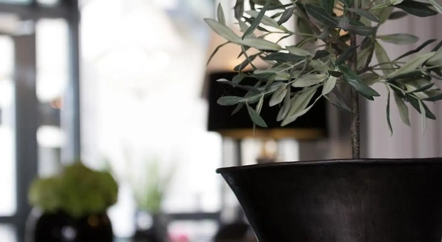 Best Western Plus Hotel Kronjylland SPORTS_AND_LEISURE
