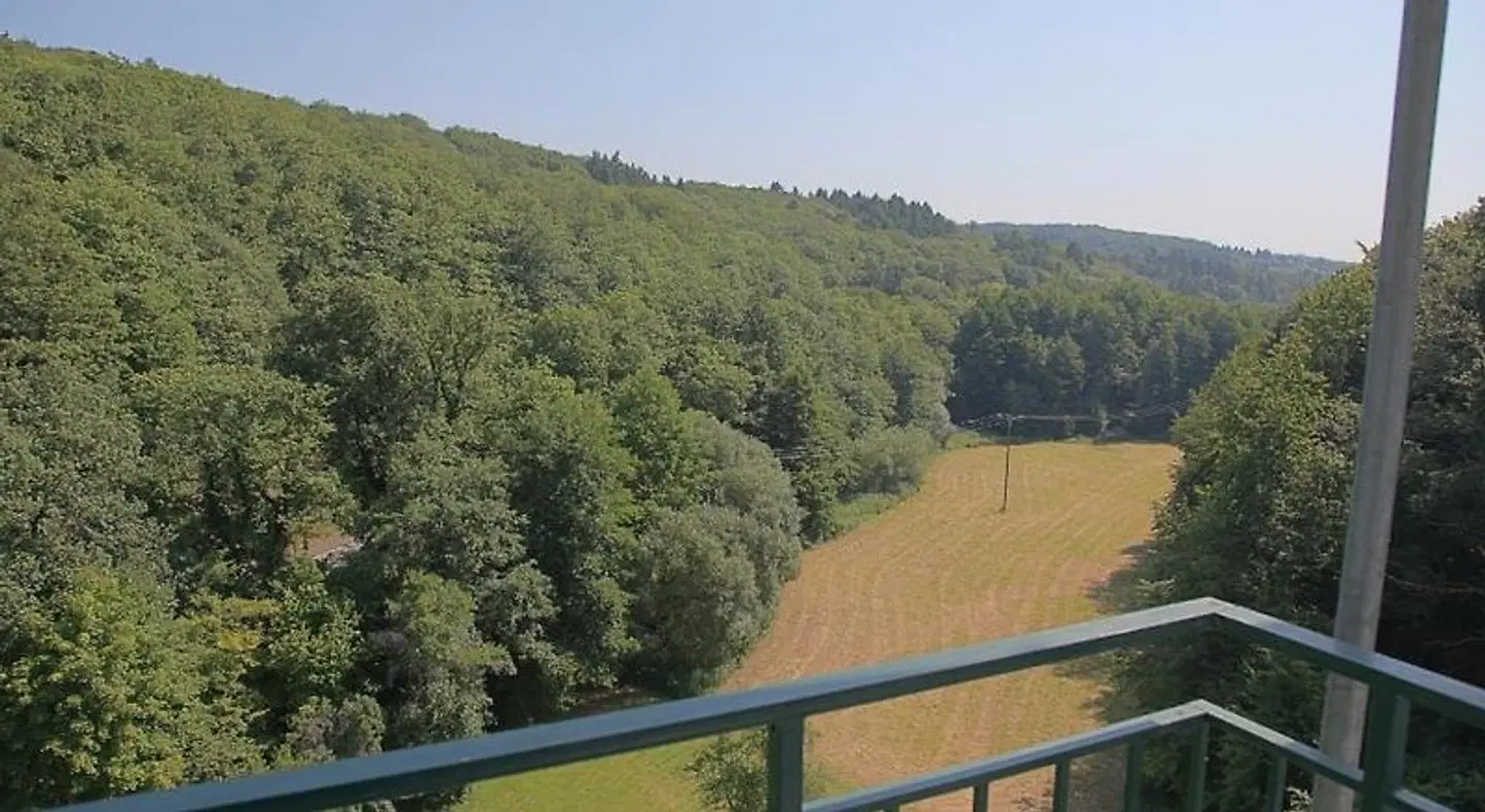 Rheingau LANDSCAPE