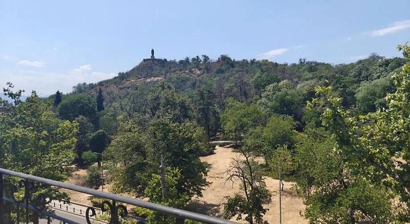 Noviz LANDSCAPE