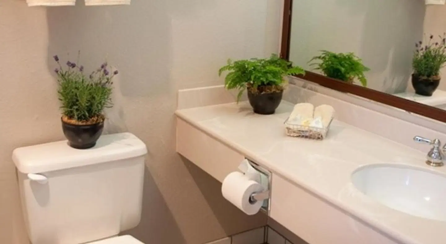 Chablis Inn Badezimmer