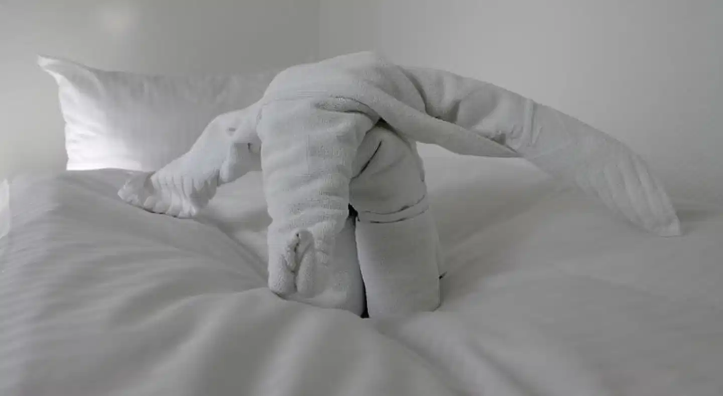 Lindenhotel Stralsund Wohnbeispiel