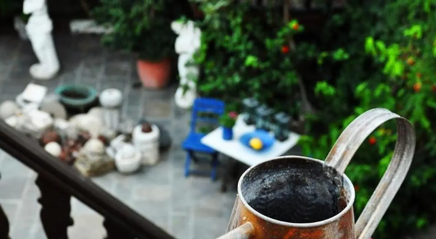 S. Nikolis Historic Boutique Hotel Garten