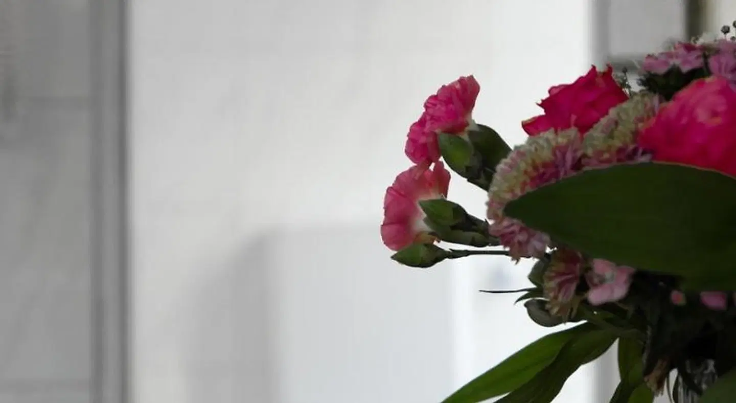 Trierer Hof LANDSCAPE